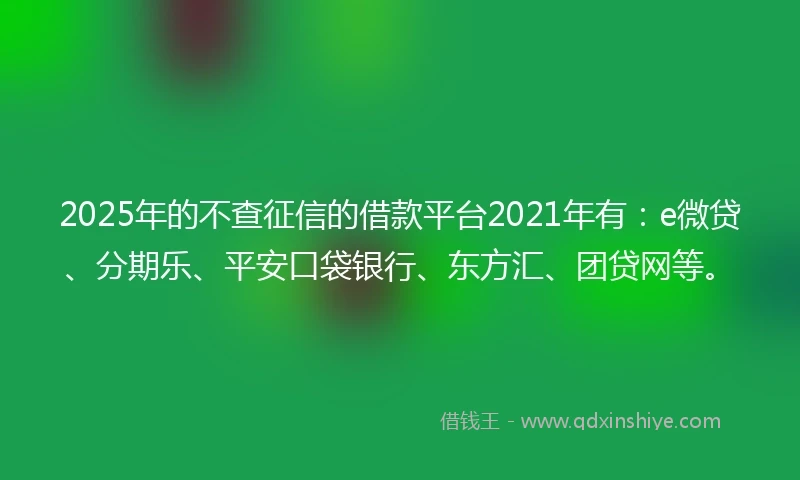 2025年的不查征信的借款平台2021年有：e微贷、分期乐、平安口袋银行、东方汇、团贷网等。