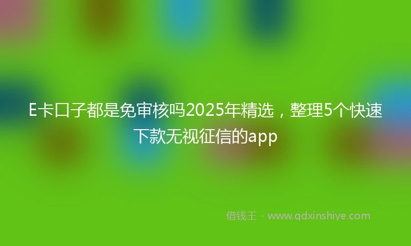 E卡口子都是免审核吗2025年精选，整理5个快速下款无视征信的app
