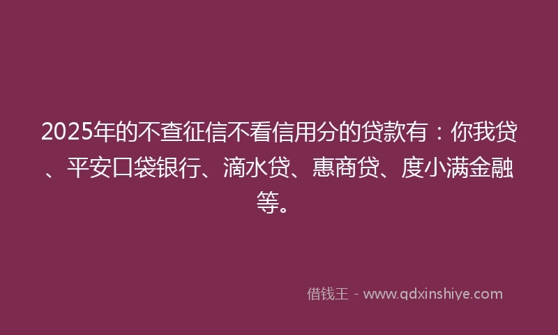 2025年的不查征信不看信用分的贷款有：你我贷、平安口袋银行、滴水贷、惠商贷、度小满金融等。