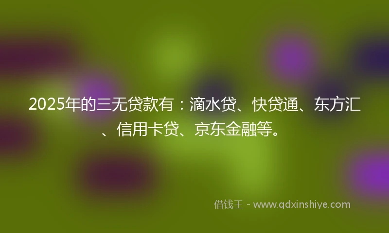 2025年的三无贷款有：滴水贷、快贷通、东方汇、信用卡贷、京东金融等。