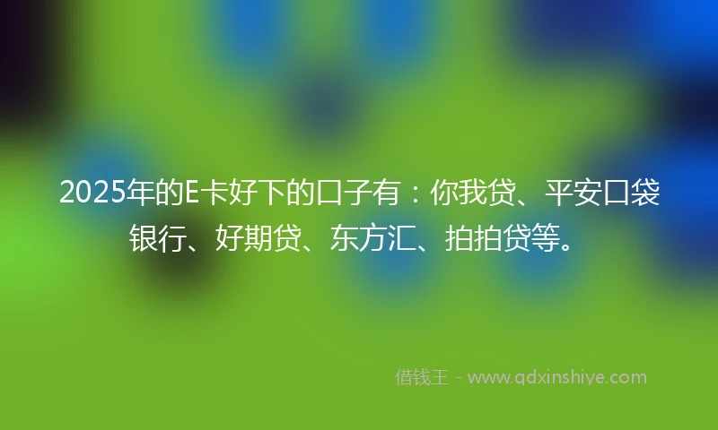 2025年的E卡好下的口子有：你我贷、平安口袋银行、好期贷、东方汇、拍拍贷等。
