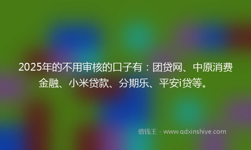 2025年的不用审核的口子有：团贷网、中原消费金融、小米贷款、分期乐、平安i贷等。