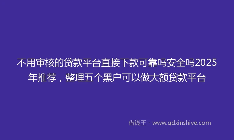 不用审核的贷款平台直接下款可靠吗安全吗2025年推荐，整理五个黑户可以做大额贷款平台
