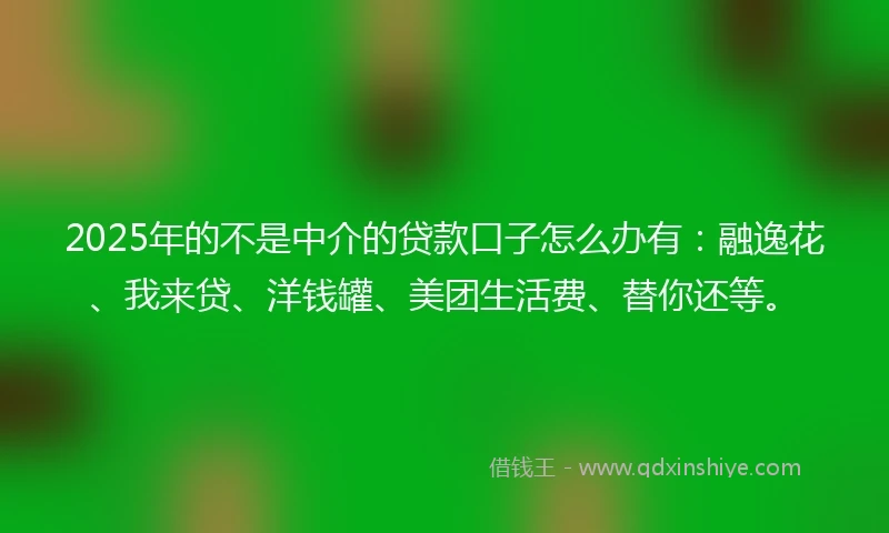 2025年的不是中介的贷款口子怎么办有：融逸花、我来贷、洋钱罐、美团生活费、替你还等。