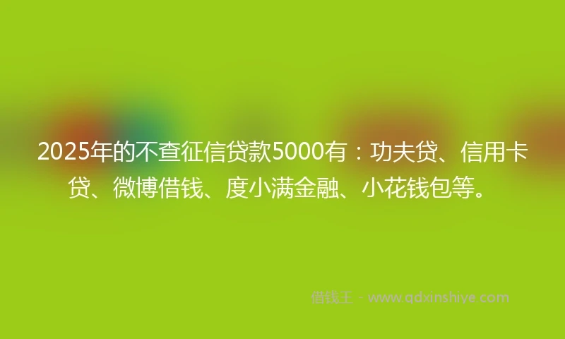 2025年的不查征信贷款5000有：功夫贷、信用卡贷、微博借钱、度小满金融、小花钱包等。