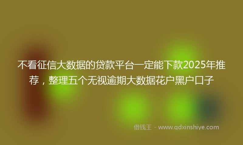 不看征信大数据的贷款平台一定能下款2025年推荐，整理五个无视逾期大数据花户黑户口子