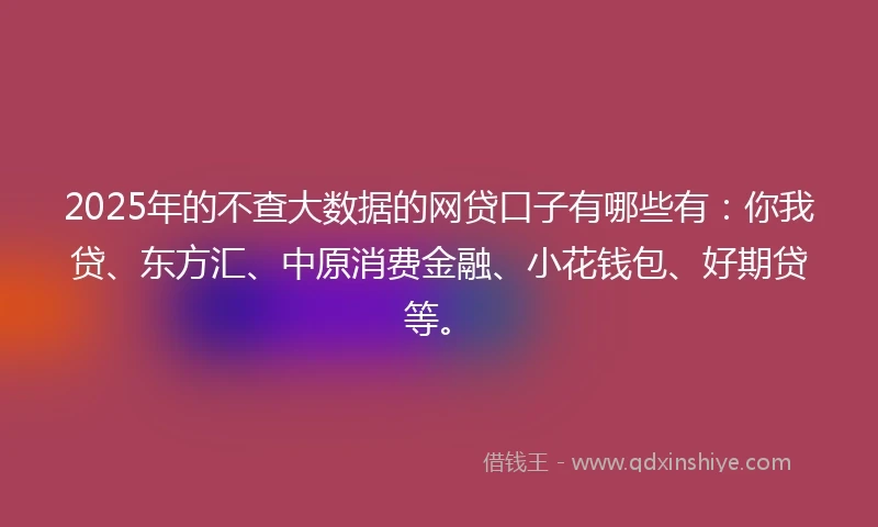 2025年的不查大数据的网贷口子有哪些有：你我贷、东方汇、中原消费金融、小花钱包、好期贷等。