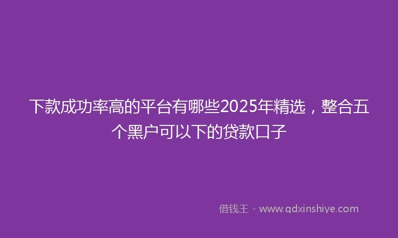 下款成功率高的平台有哪些2025年精选，整合五个黑户可以下的贷款口子
