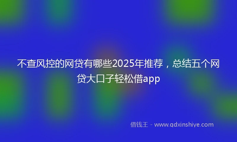 不查风控的网贷有哪些2025年推荐，总结五个网贷大口子轻松借app