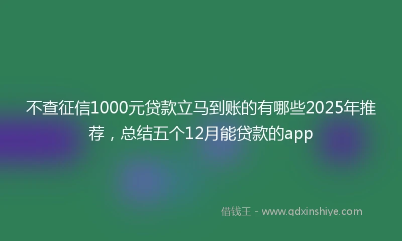 不查征信1000元贷款立马到账的有哪些2025年推荐，总结五个12月能贷款的app