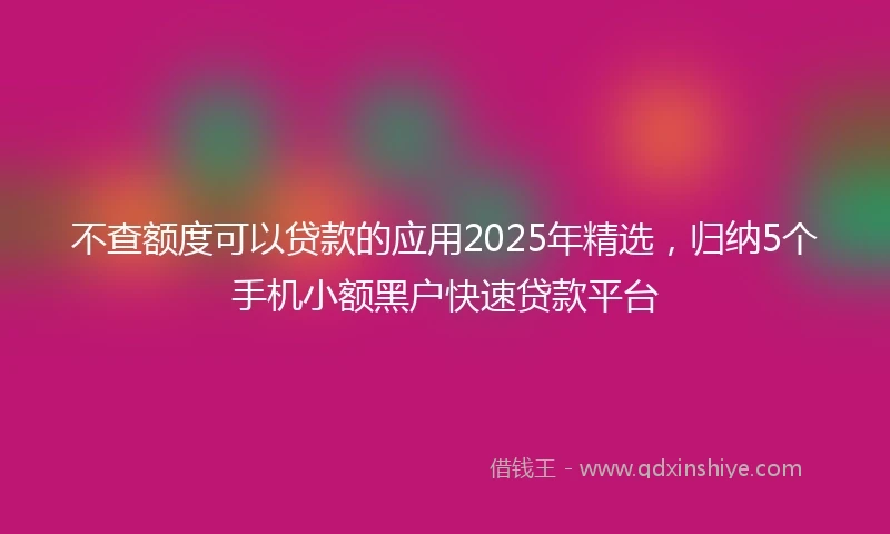 不查额度可以贷款的应用2025年精选，归纳5个手机小额黑户快速贷款平台