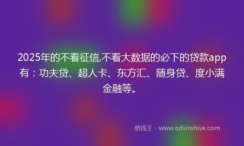 2025年的不看征信,不看大数据的必下的贷款app有：功夫贷、超人卡、东方汇、随身贷、度小满金融等。