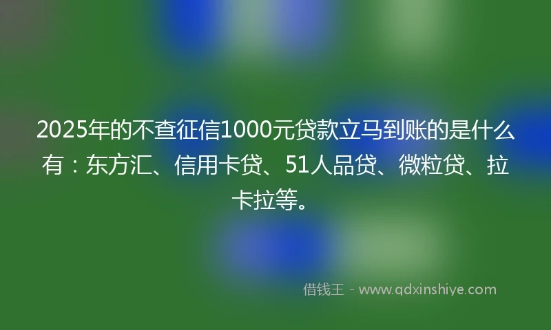 2025年的不查征信1000元贷款立马到账的是什么有：东方汇、信用卡贷、51人品贷、微粒贷、拉卡拉等。