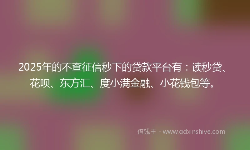 2025年的不查征信秒下的贷款平台有：读秒贷、花呗、东方汇、度小满金融、小花钱包等。