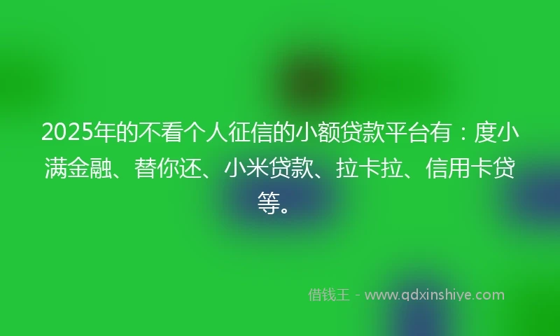 2025年的不看个人征信的小额贷款平台有：度小满金融、替你还、小米贷款、拉卡拉、信用卡贷等。