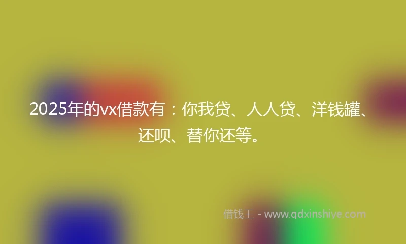 2025年的vx借款有：你我贷、人人贷、洋钱罐、还呗、替你还等。