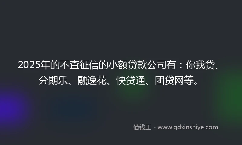 2025年的不查征信的小额贷款公司有：你我贷、分期乐、融逸花、快贷通、团贷网等。