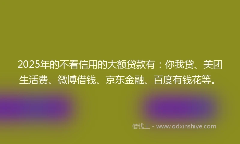 2025年的不看信用的大额贷款有：你我贷、美团生活费、微博借钱、京东金融、百度有钱花等。