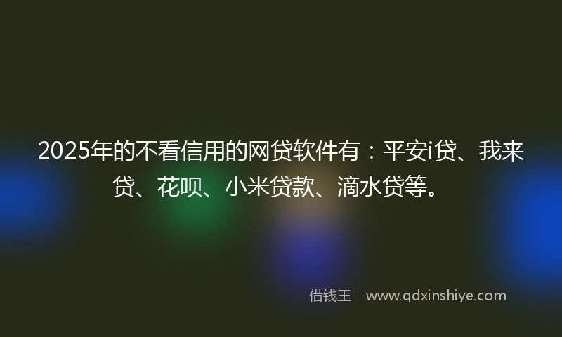 2025年的不看信用的网贷软件有：平安i贷、我来贷、花呗、小米贷款、滴水贷等。