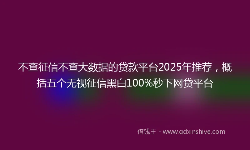 不查征信不查大数据的贷款平台2025年推荐，概括五个无视征信黑白100%秒下网贷平台