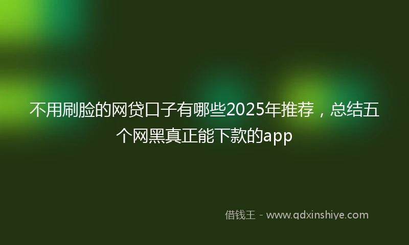 不用刷脸的网贷口子有哪些2025年推荐，总结五个网黑真正能下款的app