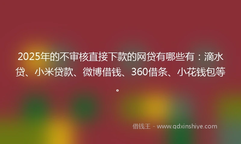 2025年的不审核直接下款的网贷有哪些有：滴水贷、小米贷款、微博借钱、360借条、小花钱包等。