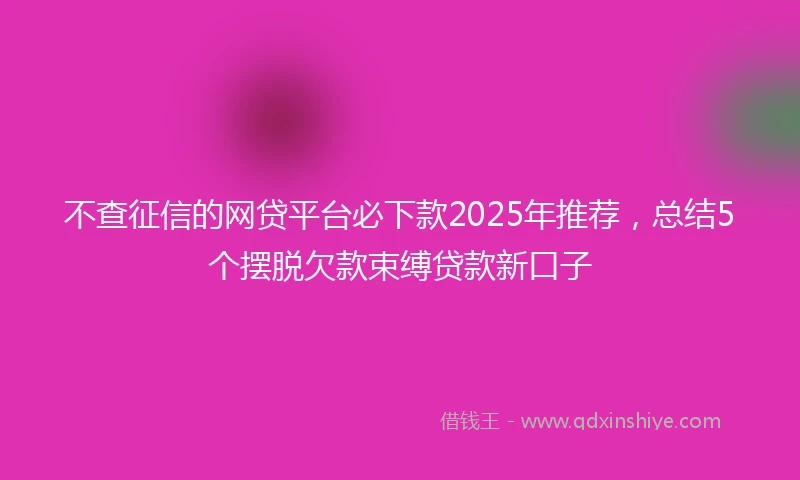 不查征信的网贷平台必下款2025年推荐，总结5个摆脱欠款束缚贷款新口子