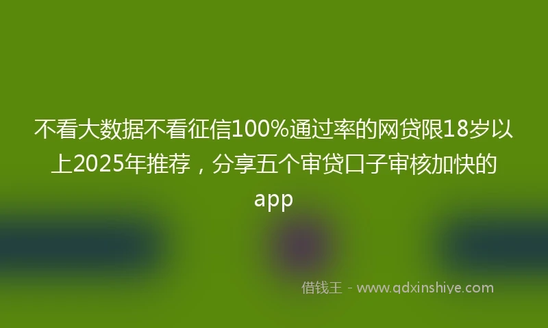 不看大数据不看征信100%通过率的网贷限18岁以上2025年推荐，分享五个审贷口子审核加快的app