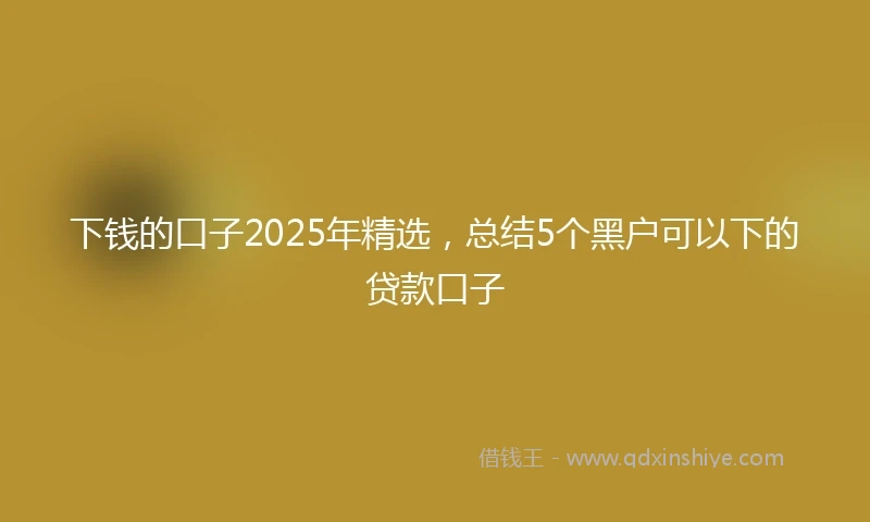 下钱的口子2025年精选，总结5个黑户可以下的贷款口子