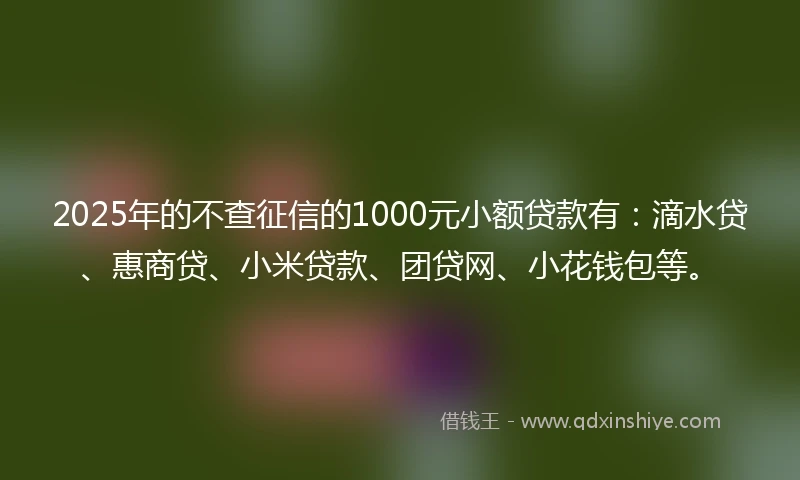 2025年的不查征信的1000元小额贷款有：滴水贷、惠商贷、小米贷款、团贷网、小花钱包等。
