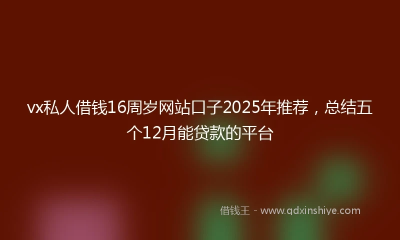 vx私人借钱16周岁网站口子2025年推荐，总结五个12月能贷款的平台