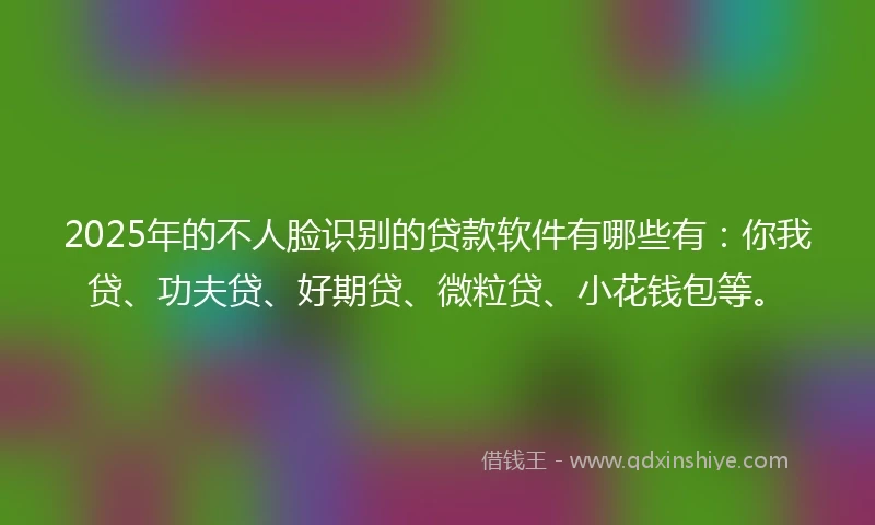 2025年的不人脸识别的贷款软件有哪些有：你我贷、功夫贷、好期贷、微粒贷、小花钱包等。