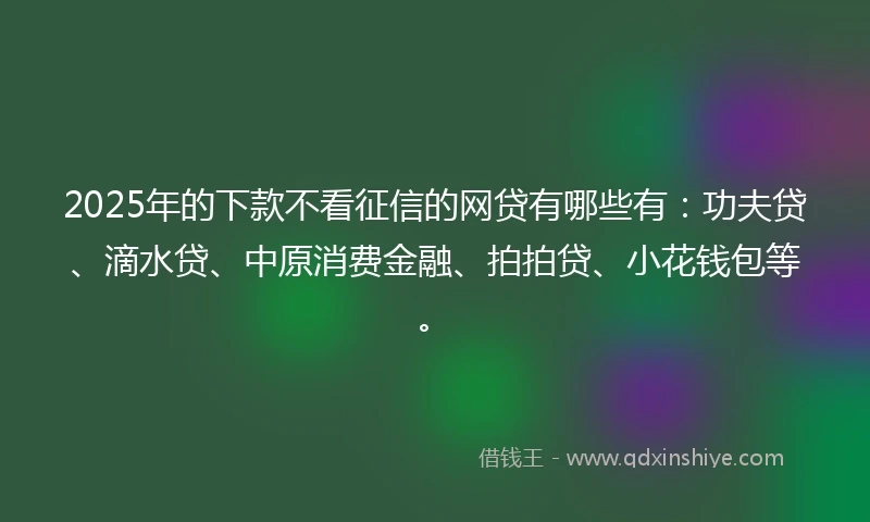 2025年的下款不看征信的网贷有哪些有：功夫贷、滴水贷、中原消费金融、拍拍贷、小花钱包等。
