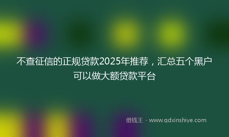 不查征信的正规贷款2025年推荐，汇总五个黑户可以做大额贷款平台