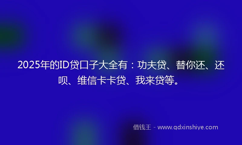 2025年的ID贷口子大全有：功夫贷、替你还、还呗、维信卡卡贷、我来贷等。