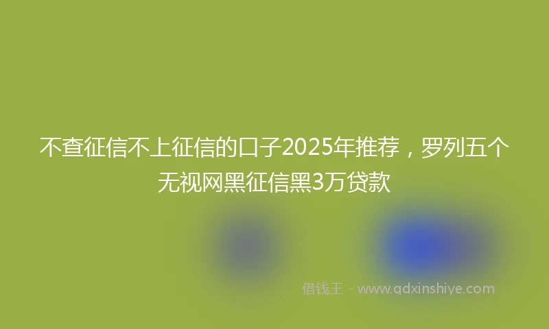 不查征信不上征信的口子2025年推荐，罗列五个无视网黑征信黑3万贷款