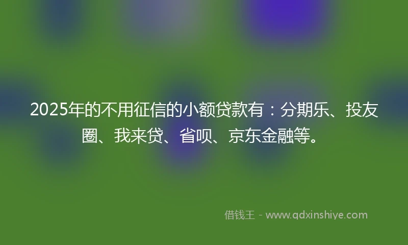 2025年的不用征信的小额贷款有：分期乐、投友圈、我来贷、省呗、京东金融等。