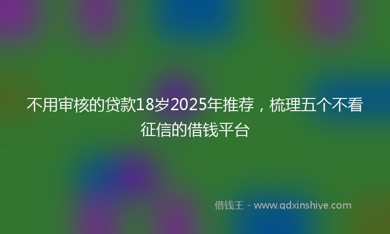 不用审核的贷款18岁2025年推荐，梳理五个不看征信的借钱平台