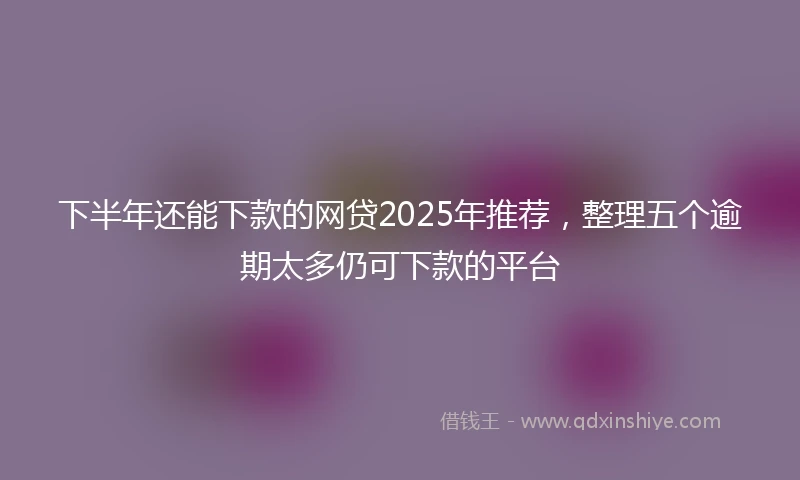 下半年还能下款的网贷2025年推荐，整理五个逾期太多仍可下款的平台