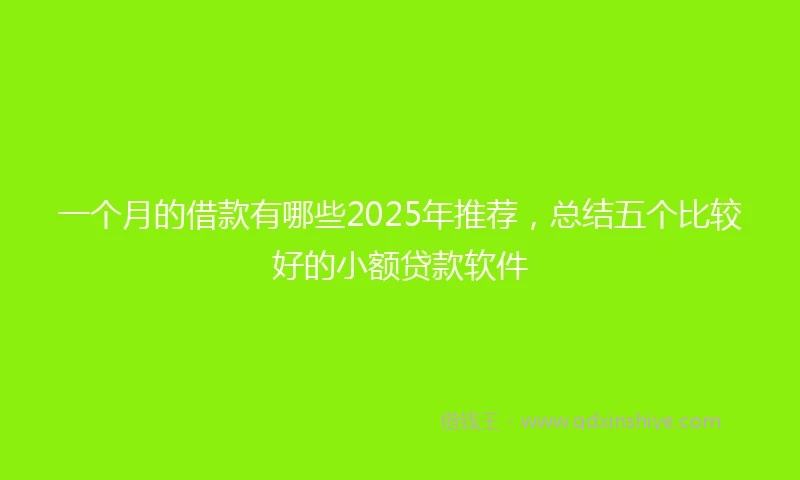 一个月的借款有哪些2025年推荐，总结五个比较好的小额贷款软件