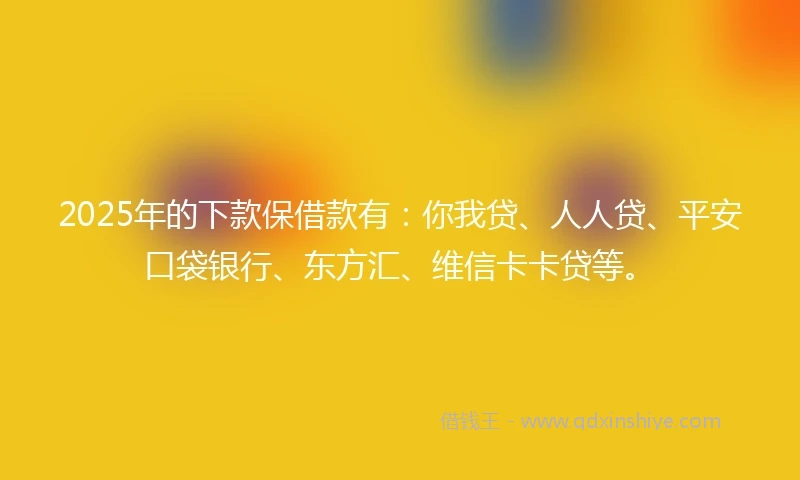 2025年的下款保借款有：你我贷、人人贷、平安口袋银行、东方汇、维信卡卡贷等。