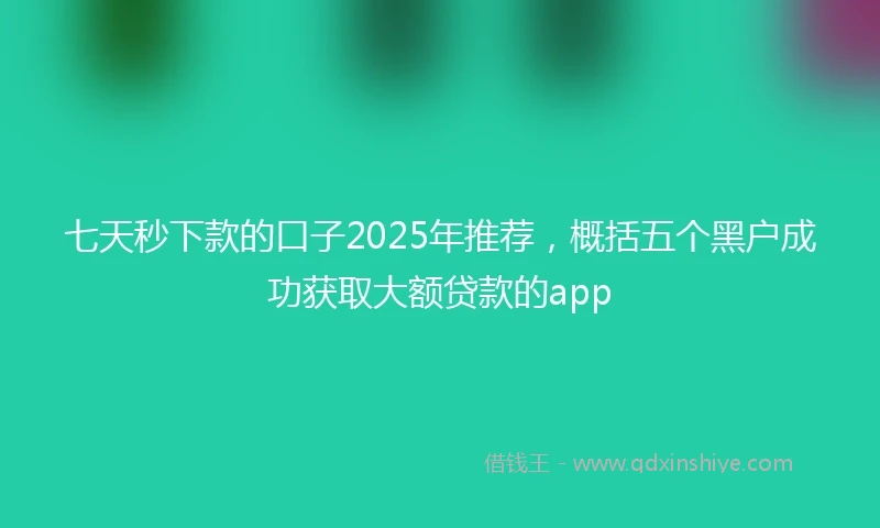 七天秒下款的口子2025年推荐，概括五个黑户成功获取大额贷款的app