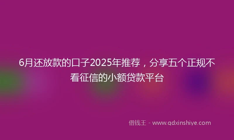 6月还放款的口子2025年推荐，分享五个正规不看征信的小额贷款平台