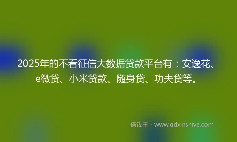 2025年的不看征信大数据贷款平台有：安逸花、e微贷、小米贷款、随身贷、功夫贷等。