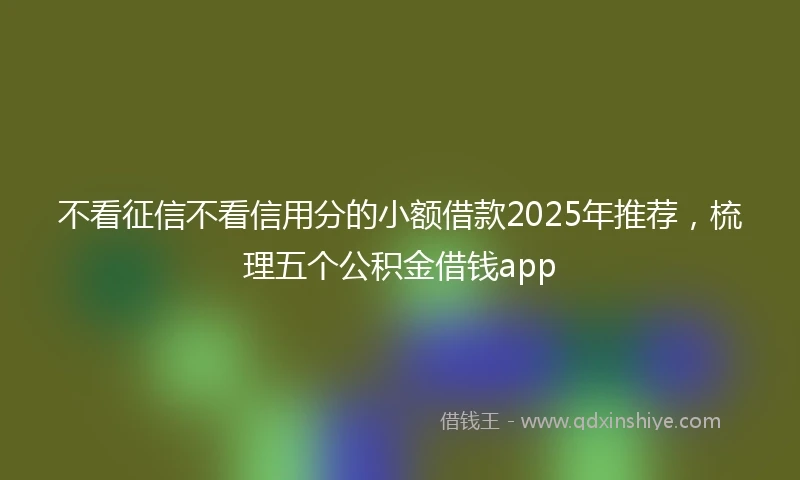 不看征信不看信用分的小额借款2025年推荐，梳理五个公积金借钱app