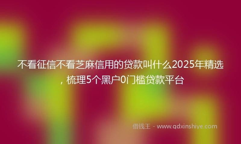 不看征信不看芝麻信用的贷款叫什么2025年精选，梳理5个黑户0门槛贷款平台