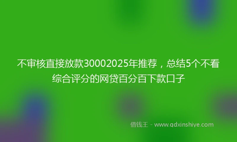 不审核直接放款30002025年推荐，总结5个不看综合评分的网贷百分百下款口子