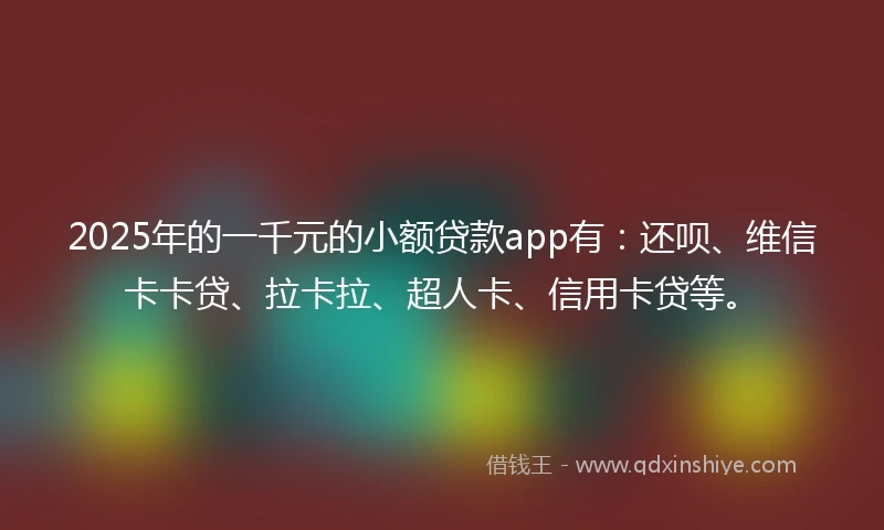 2025年的一千元的小额贷款app有：还呗、维信卡卡贷、拉卡拉、超人卡、信用卡贷等。