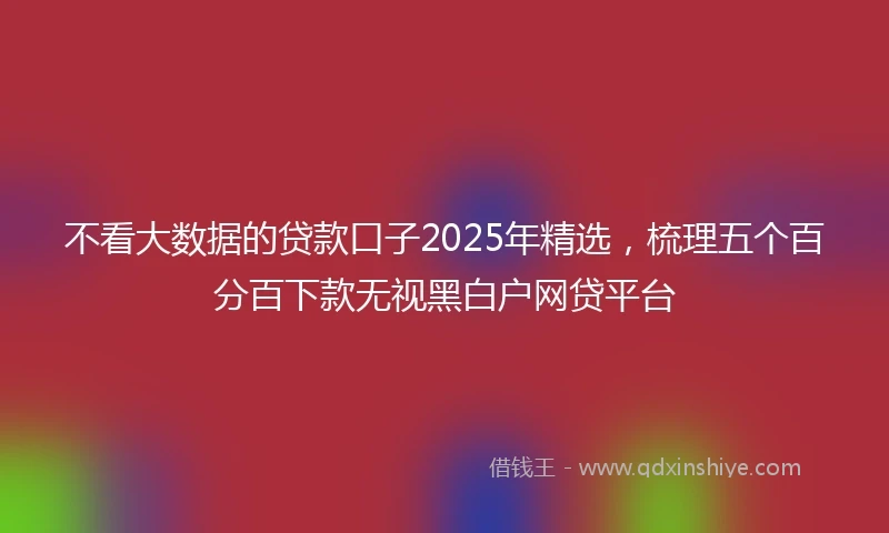 不看大数据的贷款口子2025年精选，梳理五个百分百下款无视黑白户网贷平台