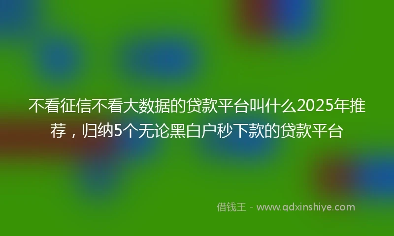 不看征信不看大数据的贷款平台叫什么2025年推荐，归纳5个无论黑白户秒下款的贷款平台